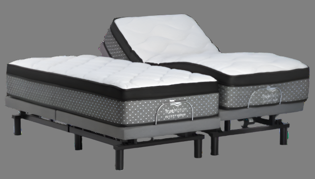 TrueMotion 1000 - Adjustable Base – Livable Life